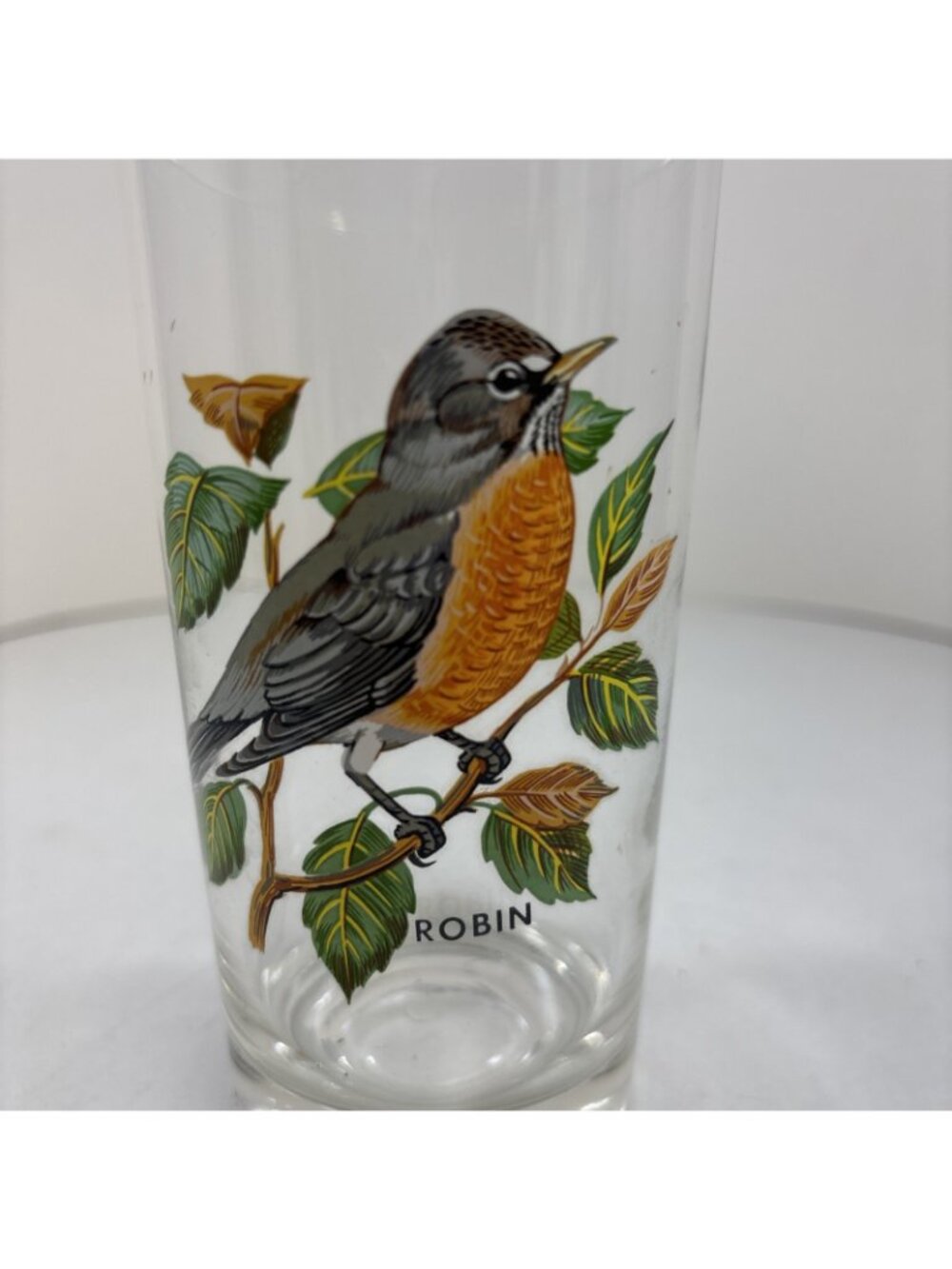 “Robin” Vintage 12oz Flat Tumbler By West Virginia Glass Specialty - Picture 2 of 5